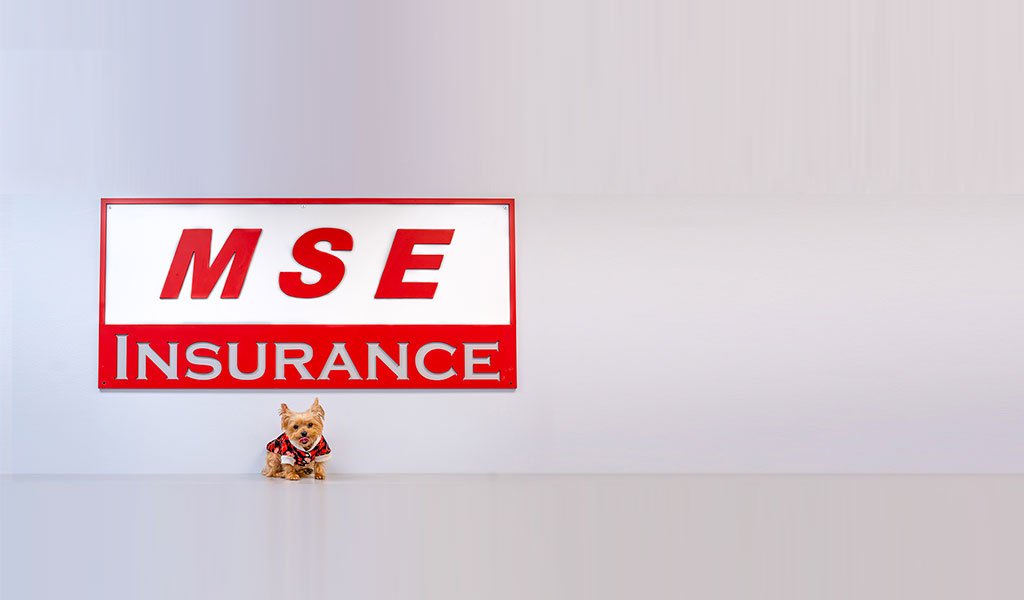 Mse Foreign Car Hire Insurance